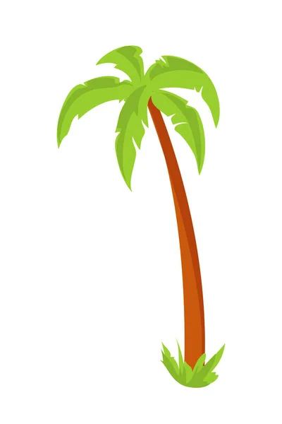 Gekleurde Strand Palm Wit — Stockvector