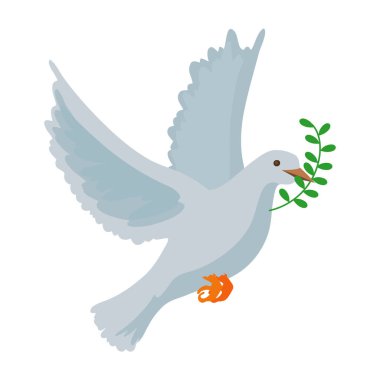 Barış güvercini tasarımı beyaz üzerine