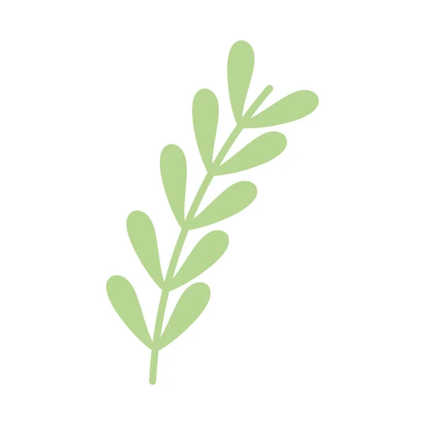 Branches Feuilles Vertes Sur Fond Blanc — Image vectorielle