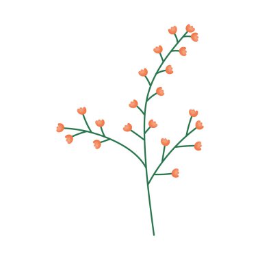 Beyaz arkaplanda küçük çiçek dalları