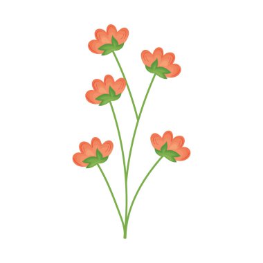 güzel portakal çiçekleri dal tasarımı