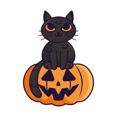 Cadılar bayramında beyaz arka planda balkabağı