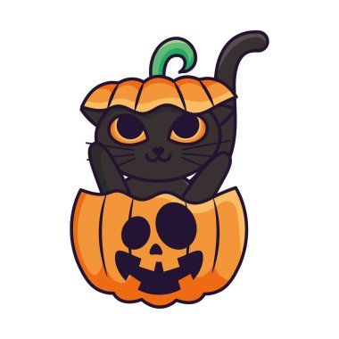 Kara kedili Cadılar Bayramı balkabağı