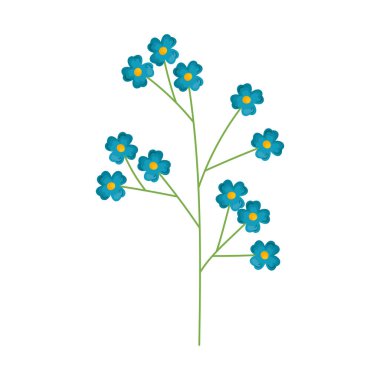 Küçük mavi çiçekler beyaz arkaplanda