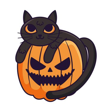 Kara kedi balkabağına sarılıyor.