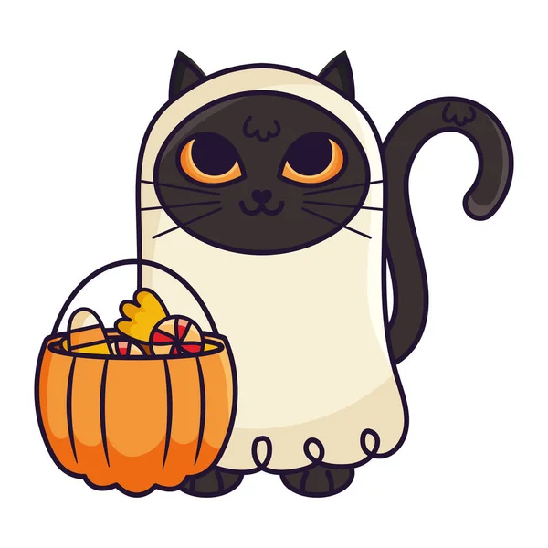Halloween Fantasma Gato Con Caramelos Calabaza — Archivo Imágenes Vectoriales