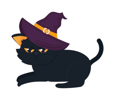 Cadılar Bayramı kedi cadı şapka ile