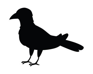 Beyaz arkaplanda kuzgun kuş silueti