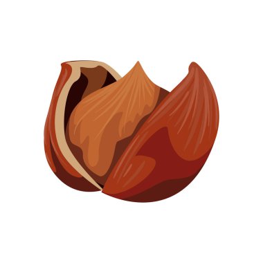 Düz Brezilya fındık tasarımı beyaz üzerine