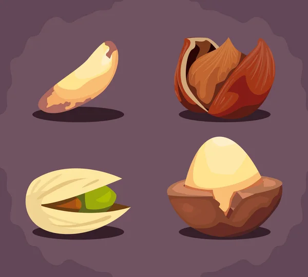 4種類のナッツのセット — ストックベクタ