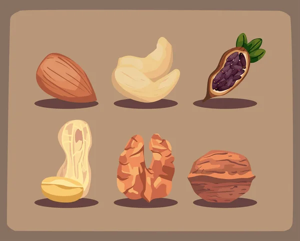 6種類のナッツのセット — ストックベクタ