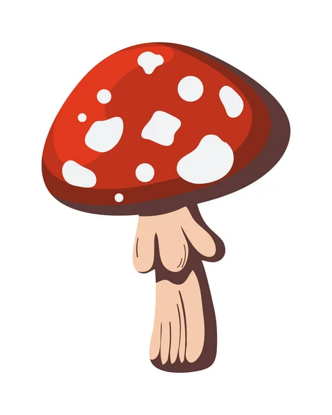 白の上に赤い真菌のデザイン — ストックベクタ