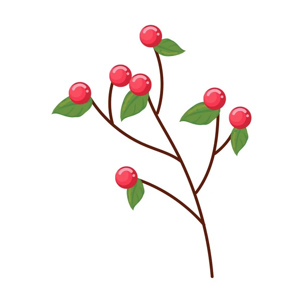 白の上に果実のある植物 — ストックベクタ