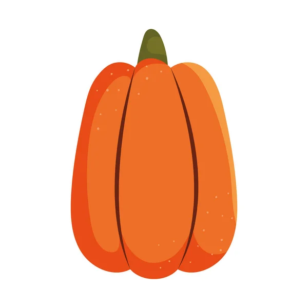 Icône Citrouille Orange Sur Fond Blanc — Image vectorielle