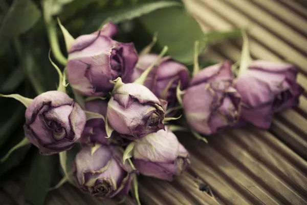 Dying wilted roses on wooden decking background — Stock Photo, Image