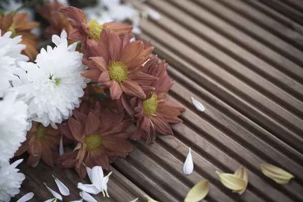 Flores marchitas moribundas con pétalos caídos — Foto de Stock