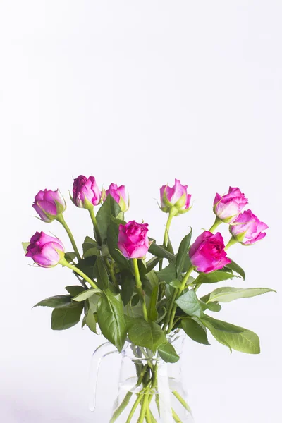 Pink roses in glass jug on white background — Stock Photo, Image