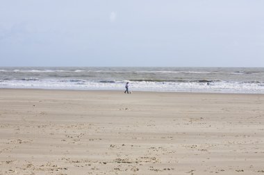 folkestone plajda tek Bayan köpek bakıcısı