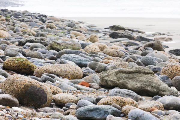 Béton brut et plage de galets faible profondeur de champ — Photo