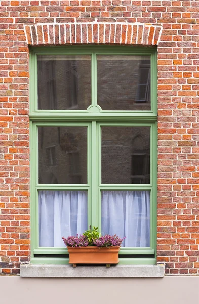 Traditional brick house window with window box — Stock Photo, Image