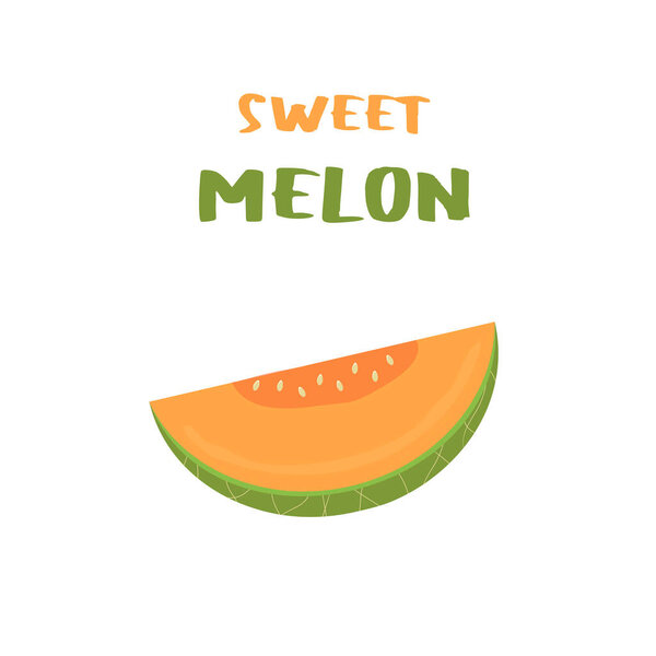 Fresh cut slice of melon fruit with text. Melon vector. melon on white background. Wallpaper