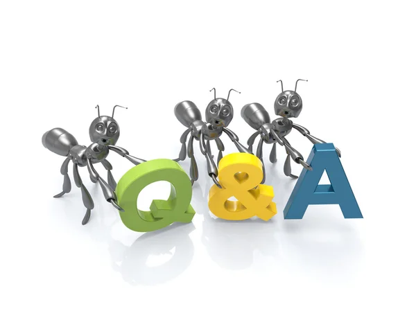 sorular ve cevaplar-kavram