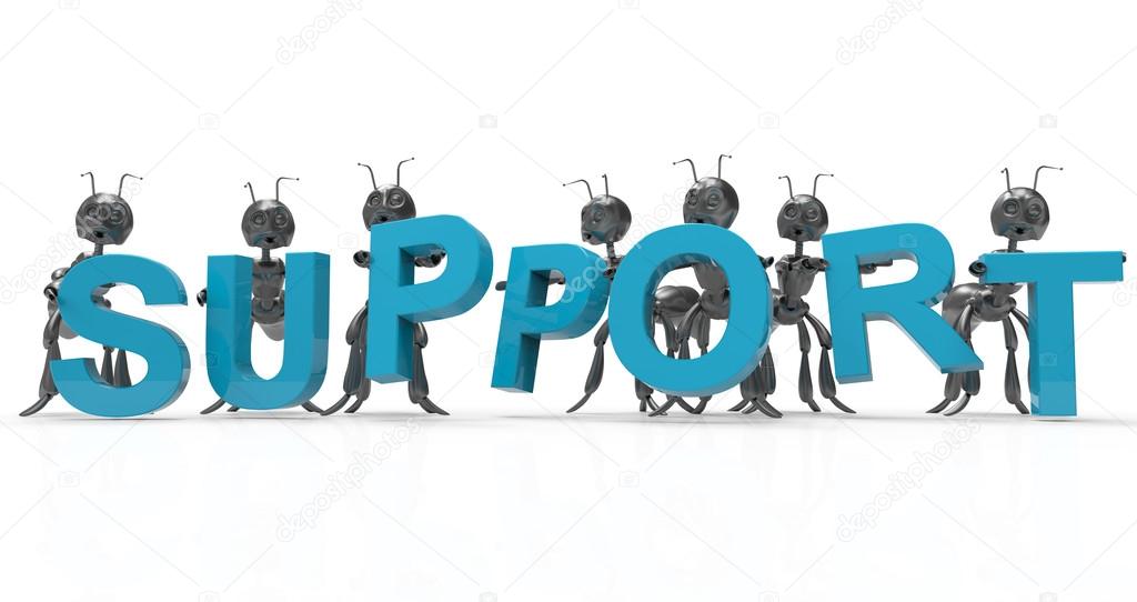 Support team