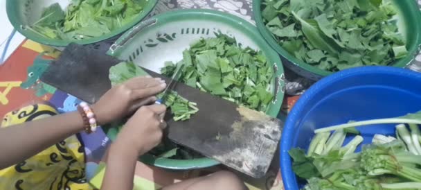 Liten Flicka Hand Skära Färsk Sallad Med Kniv Trä Skärbräda — Stockvideo