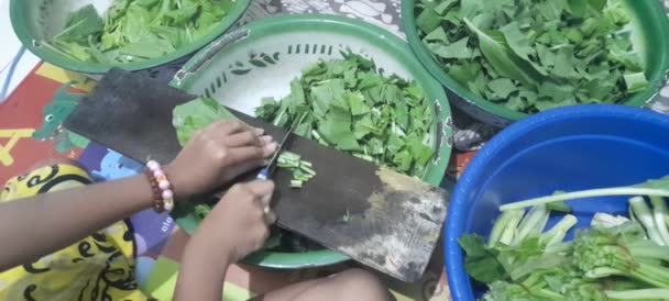 Liten Flicka Hand Skära Färsk Sallad Med Kniv Trä Skärbräda — Stockvideo