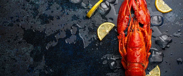 Homard avec citron et glaçons vue de dessus sur fond de pierre bleue — Photo