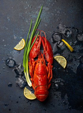 Limonlu ve buzlu ıstakoz mavi taş zemin üzerinde üst görünüm