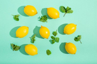 Minimum mavi arka planda naneli limonlar. Güneş, arka planda sert gölgeler bırakıyor.