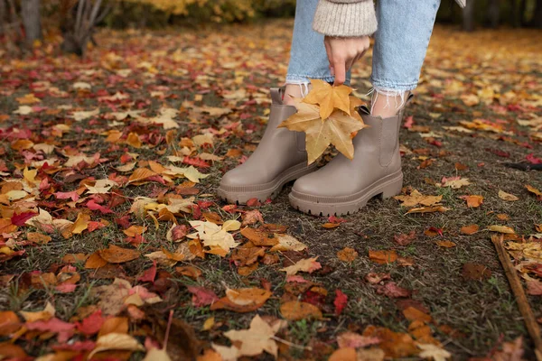 女孩腿的特写站在被秋天的黄叶覆盖的地面上 这个女孩手里拿着枫叶 选定重点V 图库图片