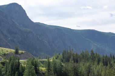 Dağların zirveleri beyaz bulutlu mavi gökyüzüne karşı. Yaz güneşli, güneşli gün