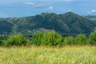 Dağ tepeleri ve yeşil ağaçlı dağ vadisi