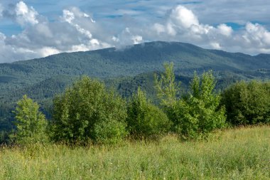 Mavi gökyüzünde beyaz kabarık bulutlar ve dağ zirveleri