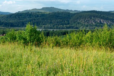 Dağ tepeleri ve yeşil ağaçlı dağ vadisi