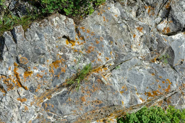 Rotsen Bergen Begroeid Met Gekleurd Korstmos — Stockfoto