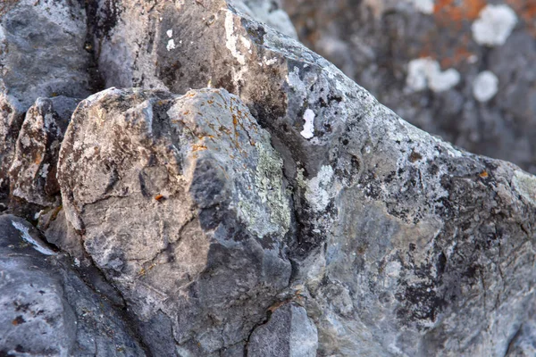 Roches Dans Les Montagnes Envahies Par Lichen Coloré — Photo