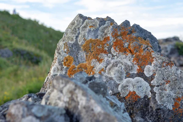 Roches Dans Les Montagnes Envahies Par Lichen Coloré — Photo