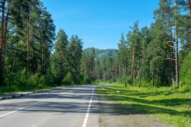 Dağ tepeleri arasında asfalt yol. Açık güneşli yaz günü