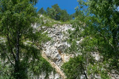 Dağ tepeleri yeşil kozalaklı ormanlarla kaplı. Sıcak yaz günü