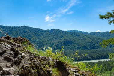 Çam ormanlarıyla çevrili bir dağ vadisinde fırtınalı bir nehir.