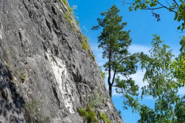 Dağlardaki dik kayalıklar. Yeşil çam ağaçları dağın yamacında yetişir.