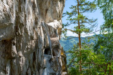 Dağlardaki dik kayalıklar. Yeşil çam ağaçları dağın yamacında yetişir.