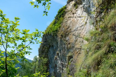 Dağlardaki dik kayalıklar. Yeşil çam ağaçları dağın yamacında yetişir.
