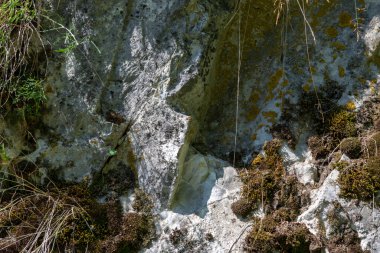 Soyut arkaplan. Dik bir uçurumun taştan oluşumu..