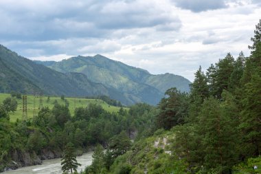 Çam ormanlarıyla çevrili bir dağ vadisinde fırtınalı bir nehir.