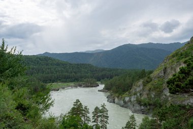 Çam ormanlarıyla çevrili bir dağ vadisinde fırtınalı bir nehir.