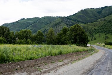 Dağ tepeleri arasında asfalt yol. Sıcak yaz günü